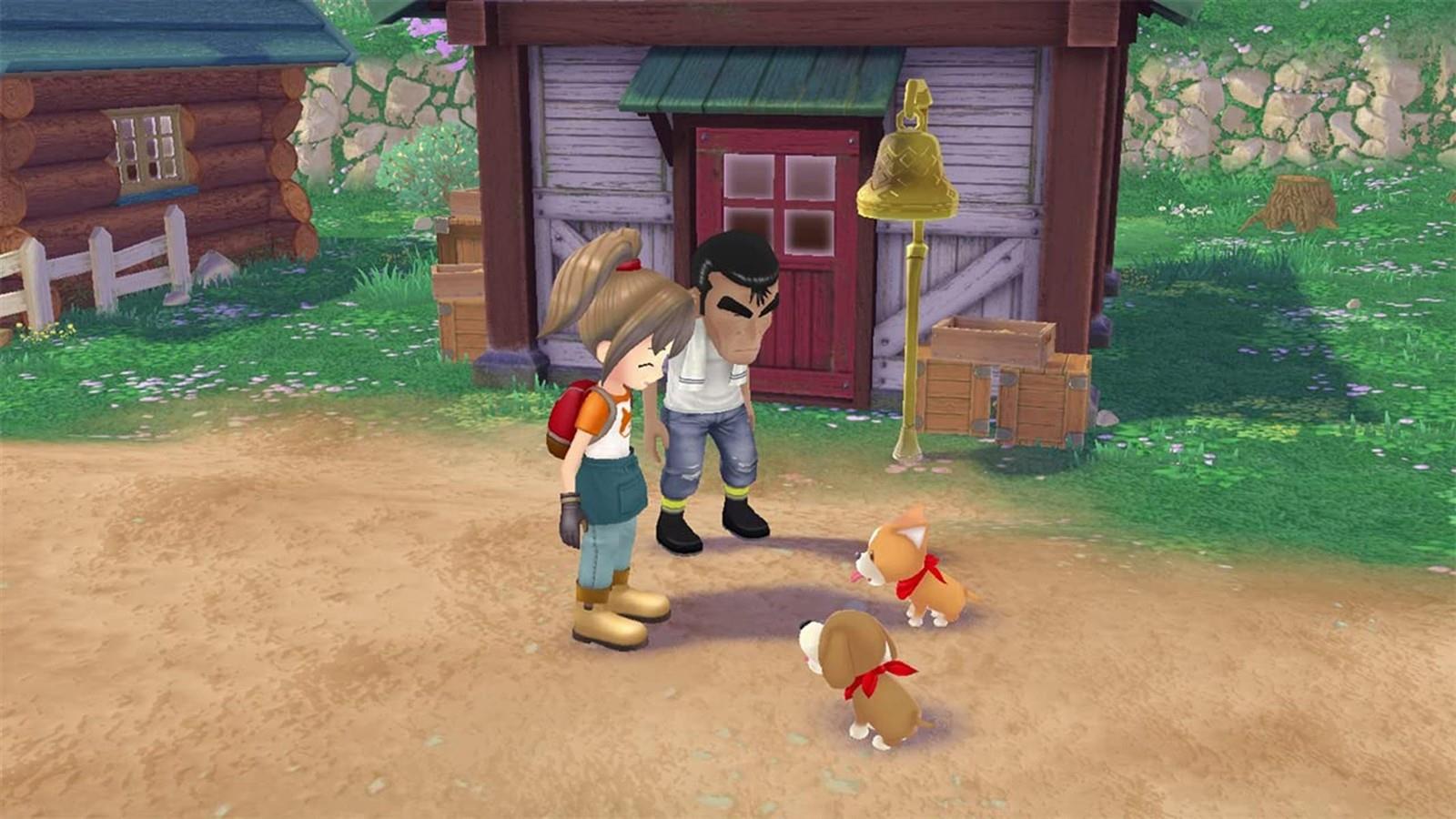 Nintendo Switch Story of Seasons Wonder