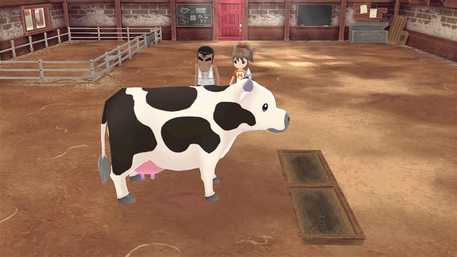 Nintendo Switch Story of Seasons Wonder
