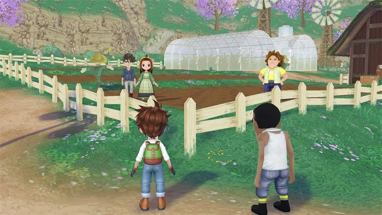 Nintendo Switch Story of Seasons Wonder
