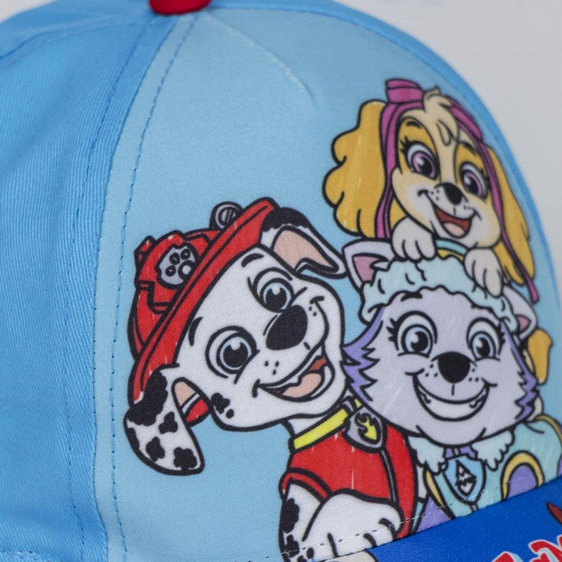 CERDÁ LIFE'S LITTLE MOMENTS Paw Patrol Team Kinder-Baseballmütze 53 cm