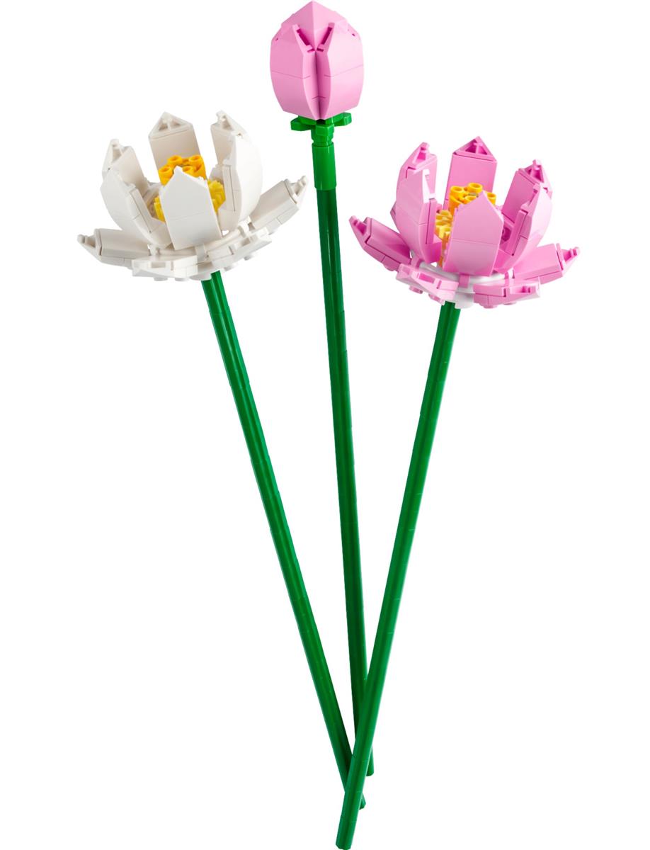 LEGO® Botanicals 40647 Lotusblumen