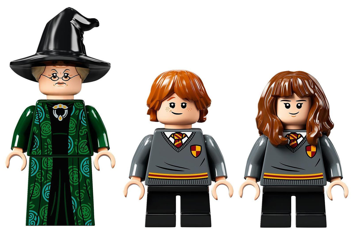 LEGO® Harry Potter™ 76382 Hogwarts™ Moment: Verwandlungsunterricht