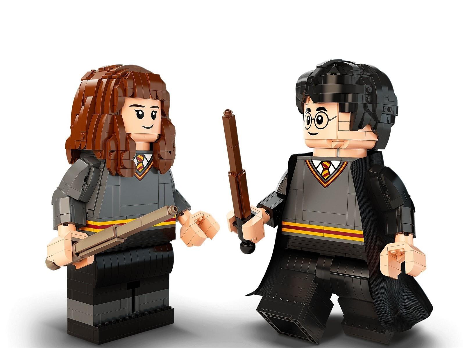 LEGO® Harry Potter™ 76393 Harry Potter™ & Hermine Granger™
