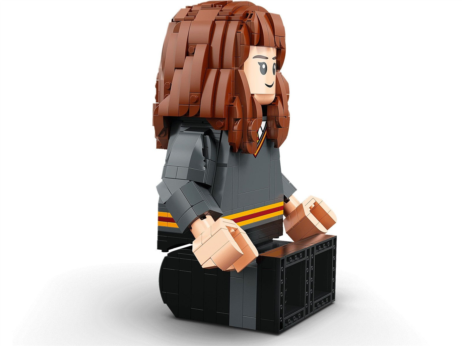 LEGO® Harry Potter™ 76393 Harry Potter™ & Hermine Granger™