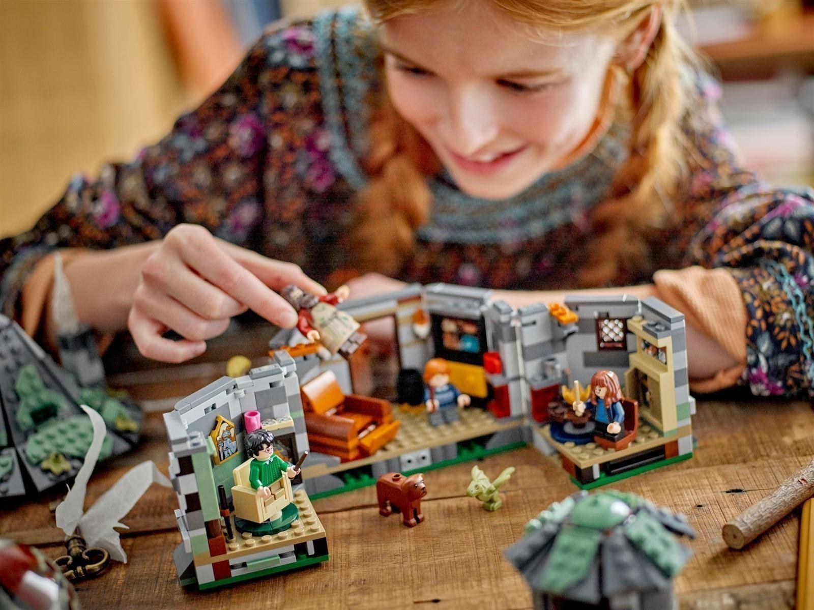 LEGO® Harry Potter™ 76428 Hagrids Hütte: Ein unerwarteter Besuch