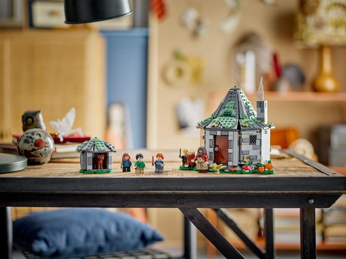 LEGO® Harry Potter™ 76428 Hagrids Hütte: Ein unerwarteter Besuch
