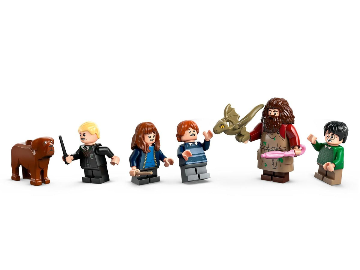 LEGO® Harry Potter™ 76428 Hagrids Hütte: Ein unerwarteter Besuch
