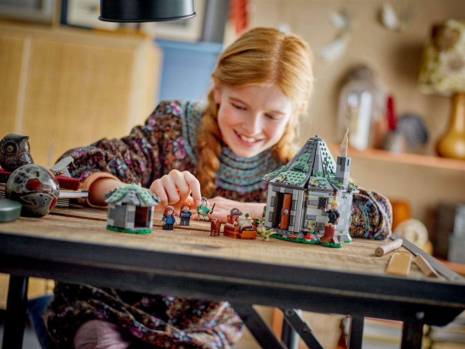 LEGO® Harry Potter™ 76428 Hagrids Hütte: Ein unerwarteter Besuch