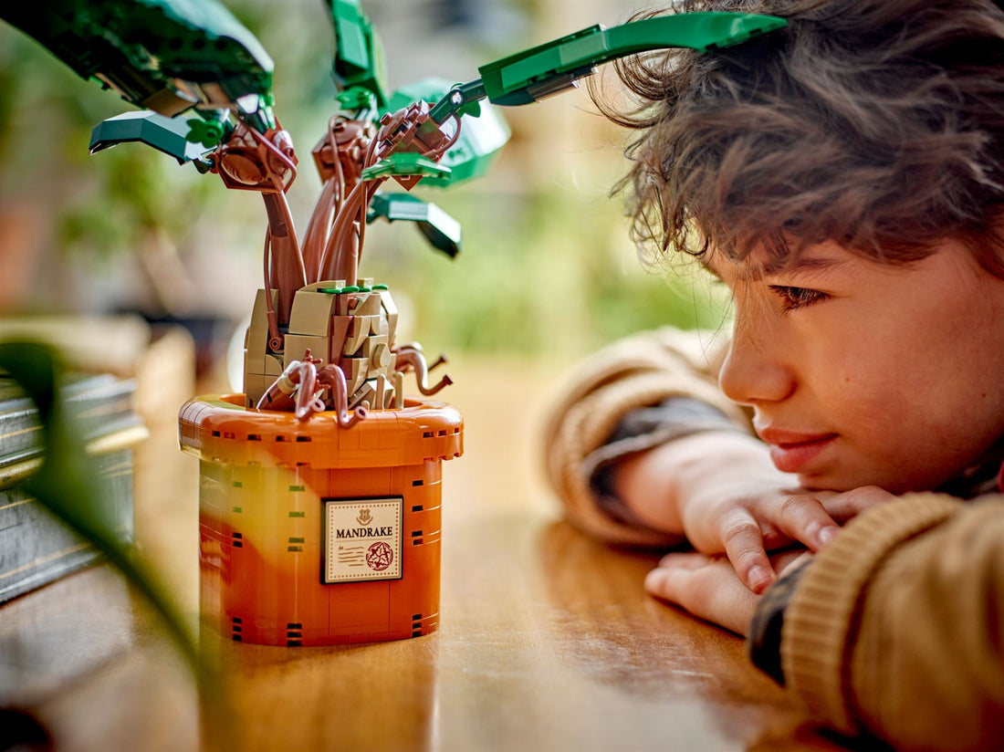 LEGO® Harry Potter™ 76433 Zaubertrankpflanze: Alraune
